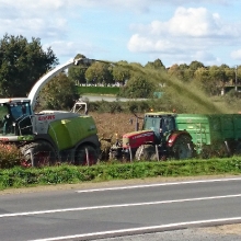 Ferme bio Gaec Bienvenue_26